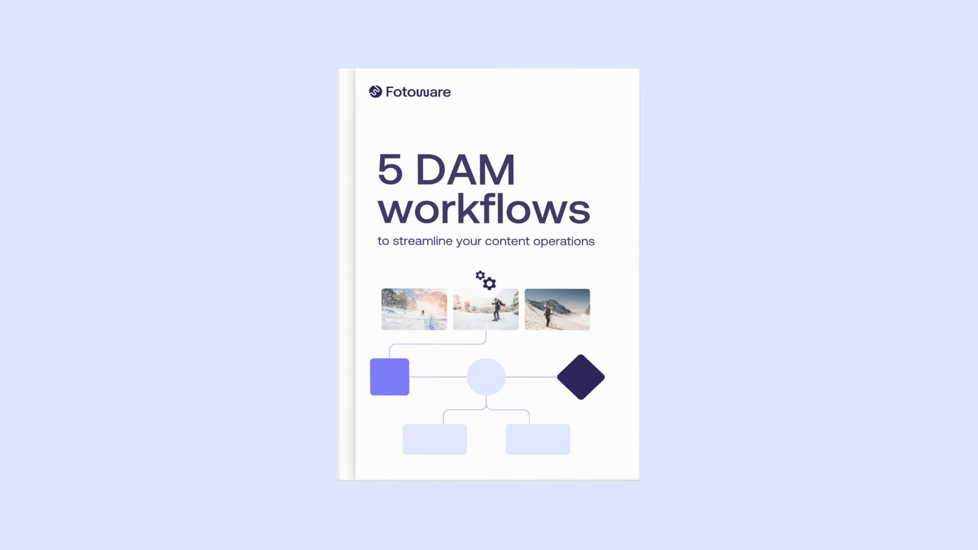 5-dam-workflows-ebook-cover