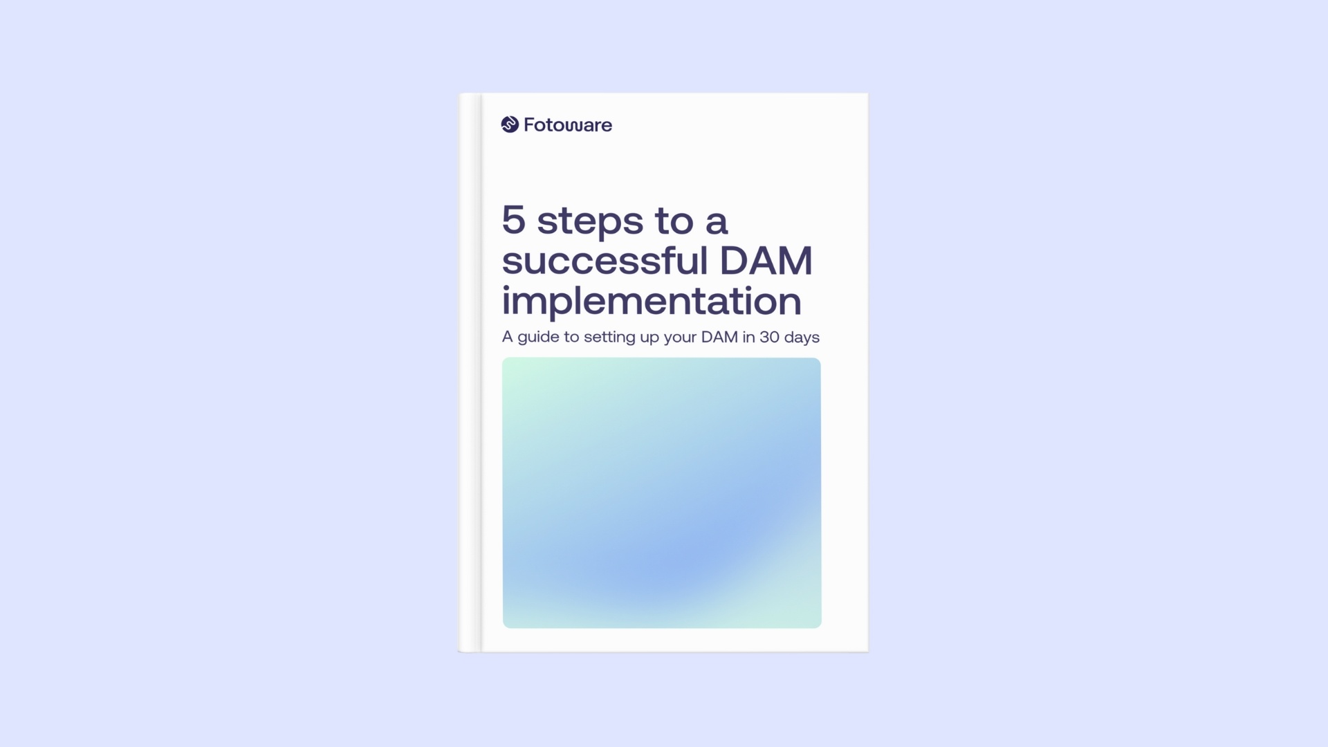 DAM in 30 days guide