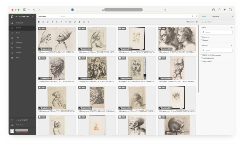 leonardo da vinci images in a database