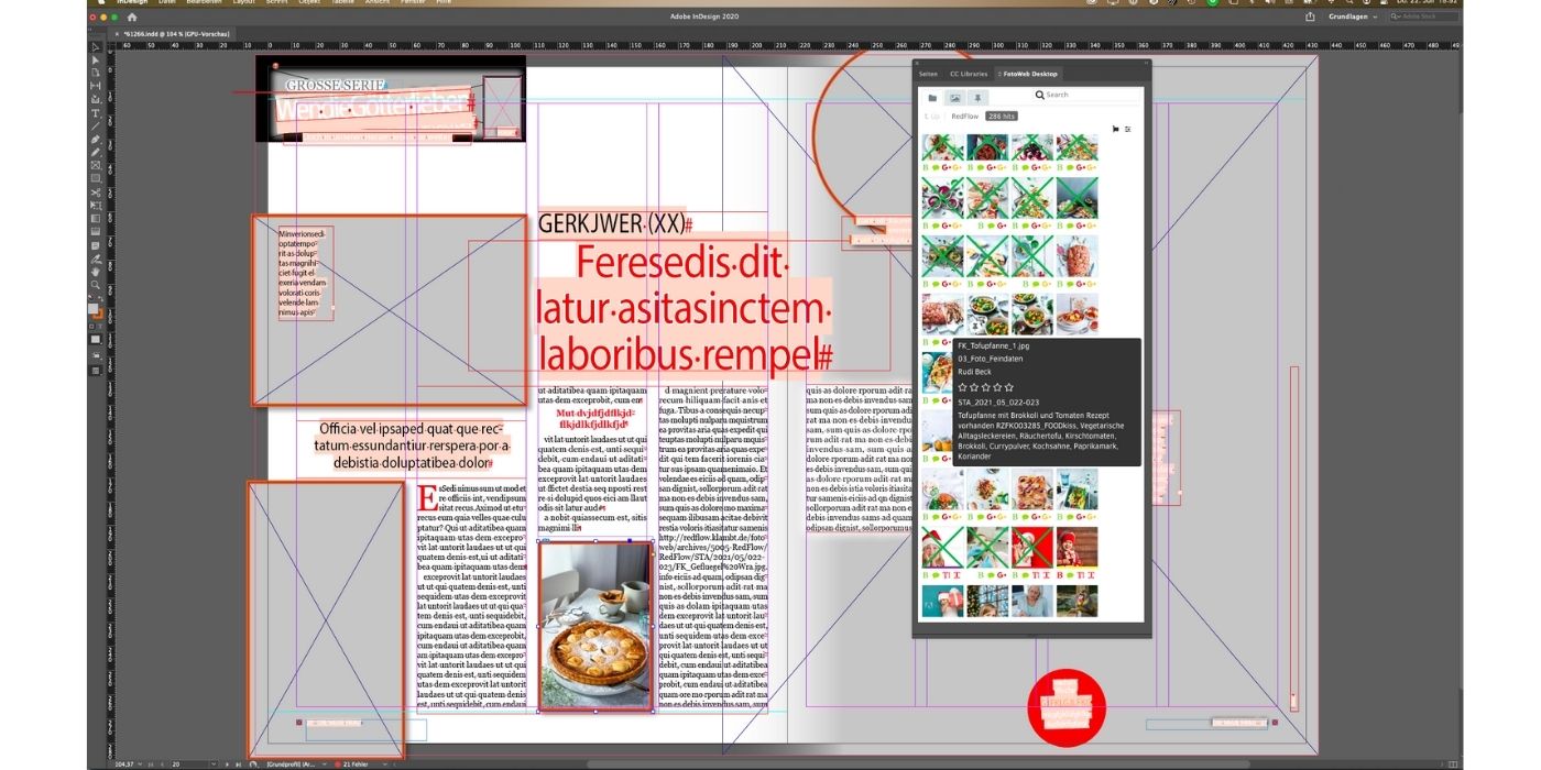 InDesign project with DAM 